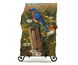 Bluebirds