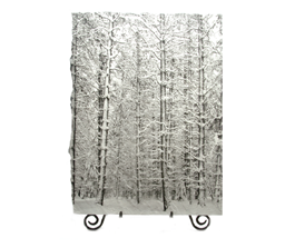 Pine trees