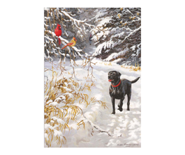 Black lab