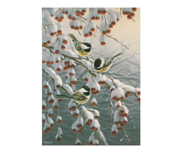 Chickadees