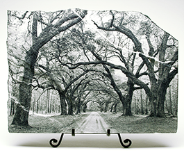 Oak arches