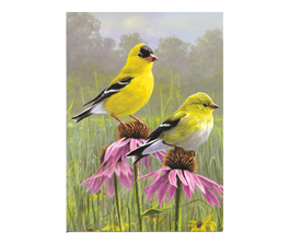 goldfinch