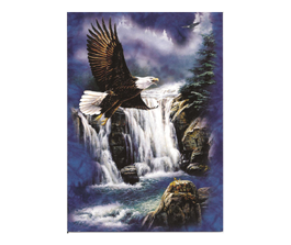 Eagles