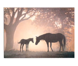 Horses